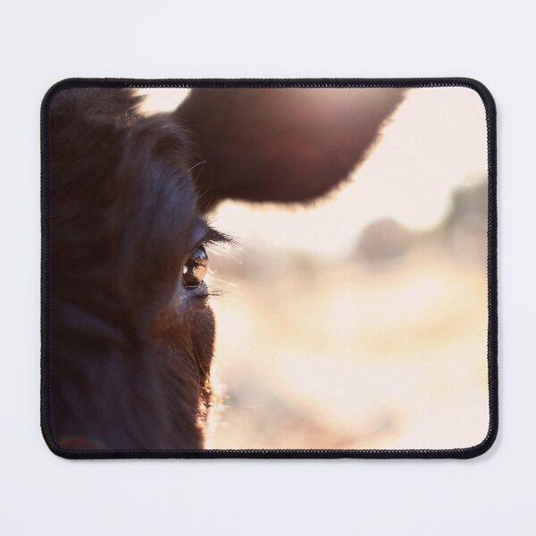 Item preview, Cows have the most beautiful eyes designed and sold by sanctuaryfaces.