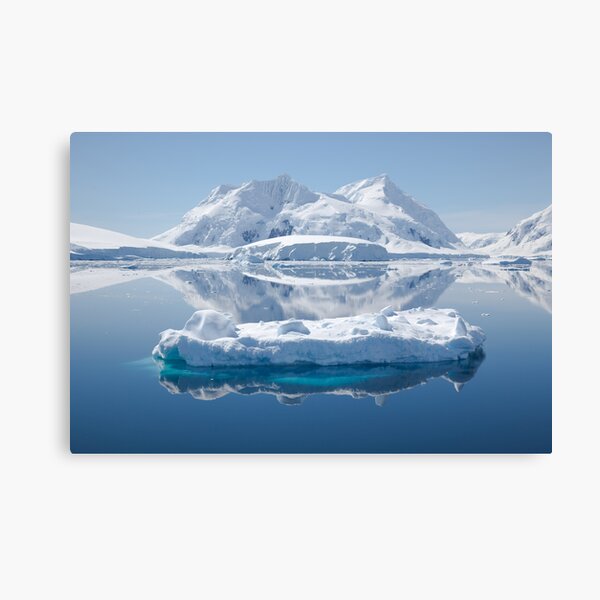 Ice reflections Canvas Print
