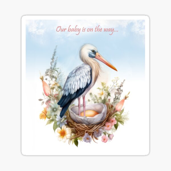 We're Expecting, Coming Soon, Baby, Stork, La Petites 3D Stickers