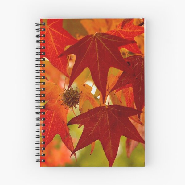 Item preview, A Tree full of Fall Colors designed and sold by shirleyarment.
