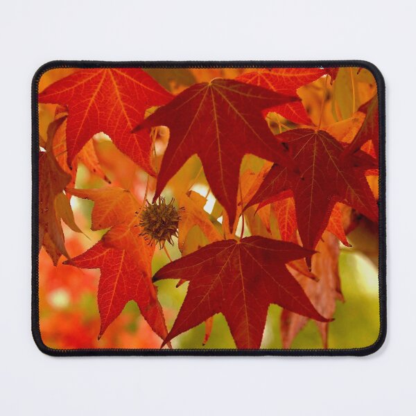 Item preview, A Tree full of Fall Colors designed and sold by shirleyarment.