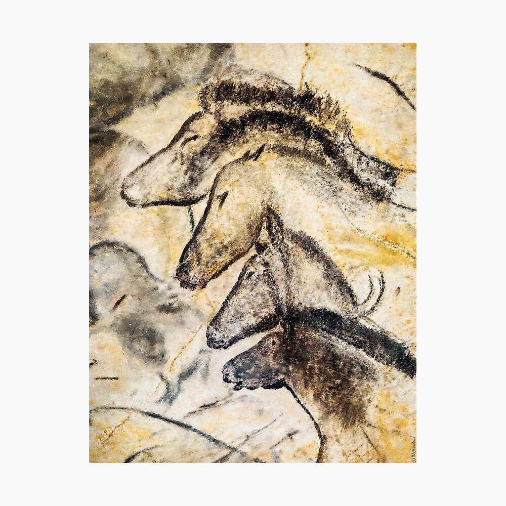 Chauvet Cave Horses 18x24 on Canvas 30,000 Years old Art 