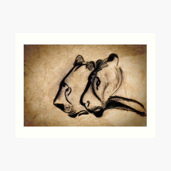 two chauvet cave lions Art Print