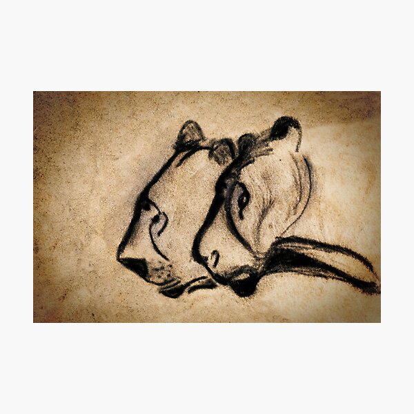 Item preview, two chauvet cave lions designed and sold by Weston  Westmoreland.