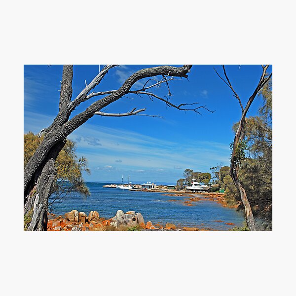 Item preview, Coles Bay Scene designed and sold by Mark Whittle.