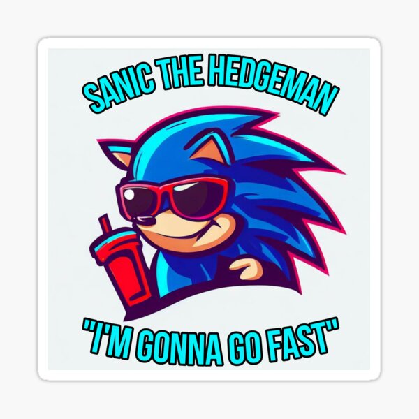 Sonic Movie gotta Go Fast It's My Birthday PNG 