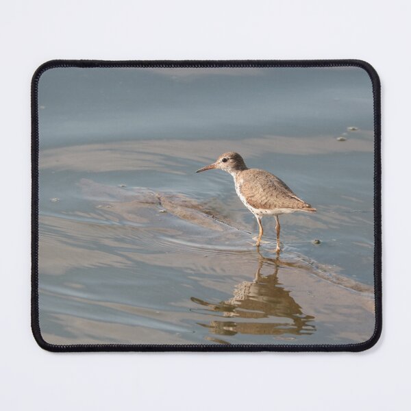 Item preview, Wading Along designed and sold by Anita Oakley.