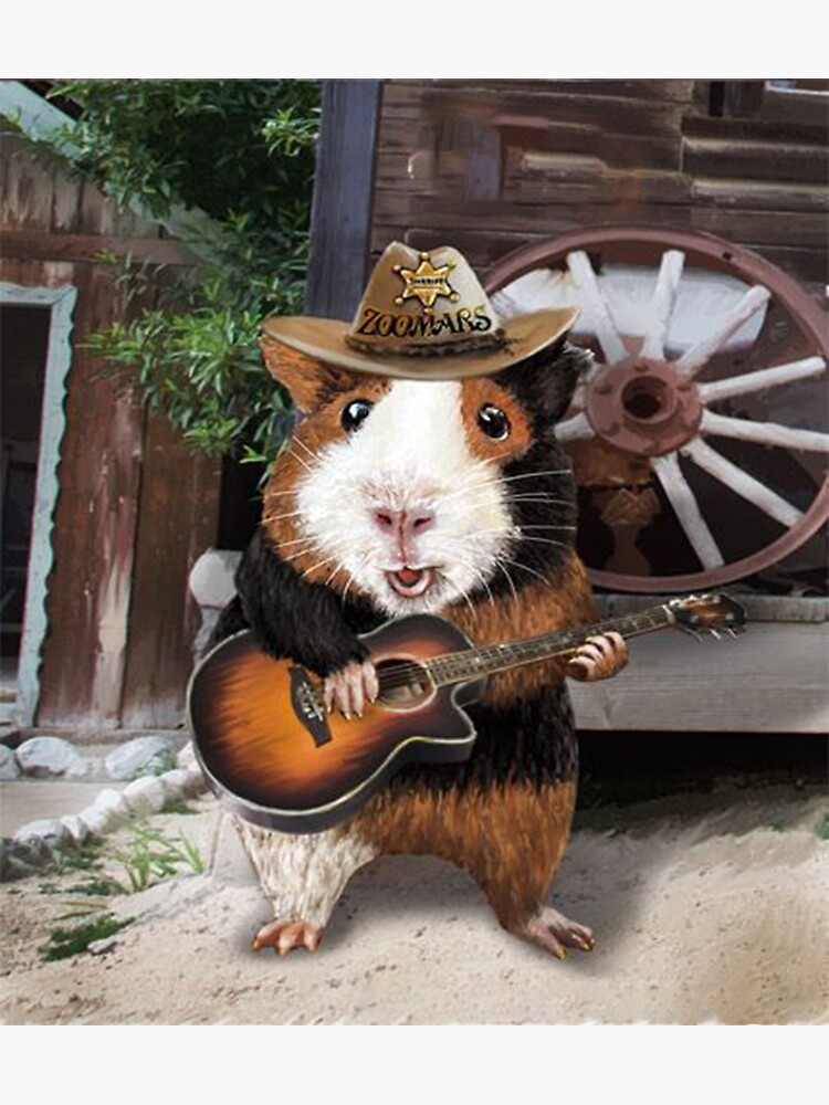 Guinea pig hot sale cowboy hat