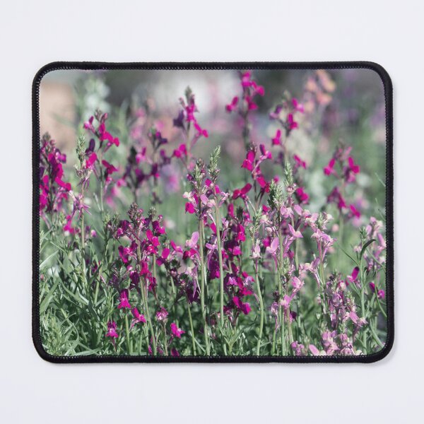 Item preview, Accents of Pink designed and sold by Jacquiamber.