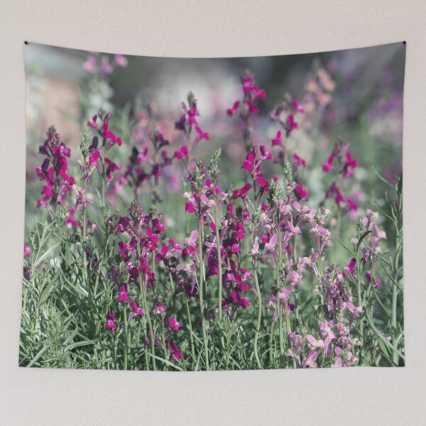 Item preview, Accents of Pink designed and sold by Jacquiamber.