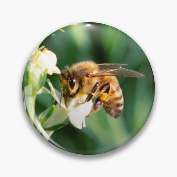 Item preview, Honey Bee 12 designed and sold by Jacquiamber.