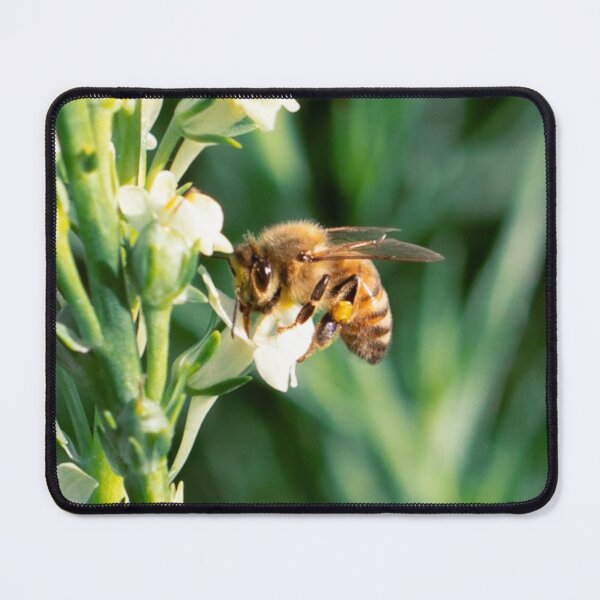 Item preview, Honey Bee 12 designed and sold by Jacquiamber.