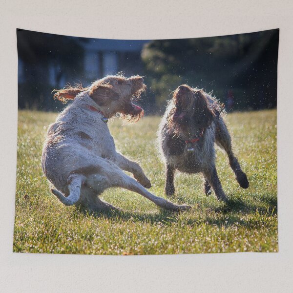 Item preview, Play Fight in the fields Spinoni by heidiannemorris designed and sold by FOLK ART FUSION by heidiannemorris.