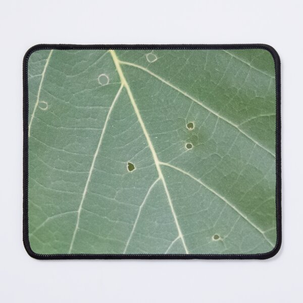 Item preview, Leaf 2 designed and sold by Jacquiamber.