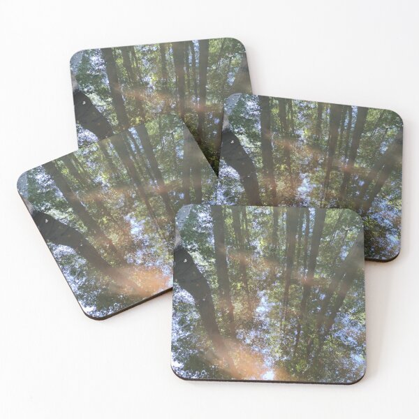Item preview, Reflection of trees in forest in a dark little river designed and sold by tshuki.