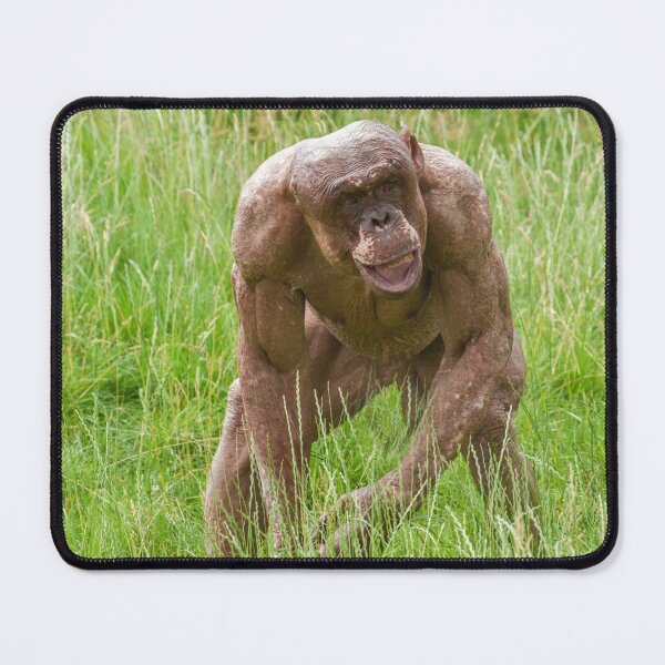 Item preview, Jambo The Unique Hairless Chimp designed and sold by rawshutterbug.
