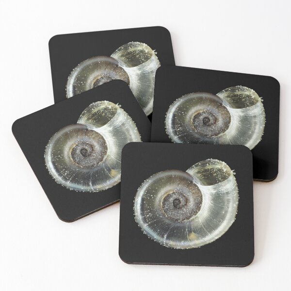 Item preview, Tiny fungivore snail shell under the microscope designed and sold by SDym Photography.