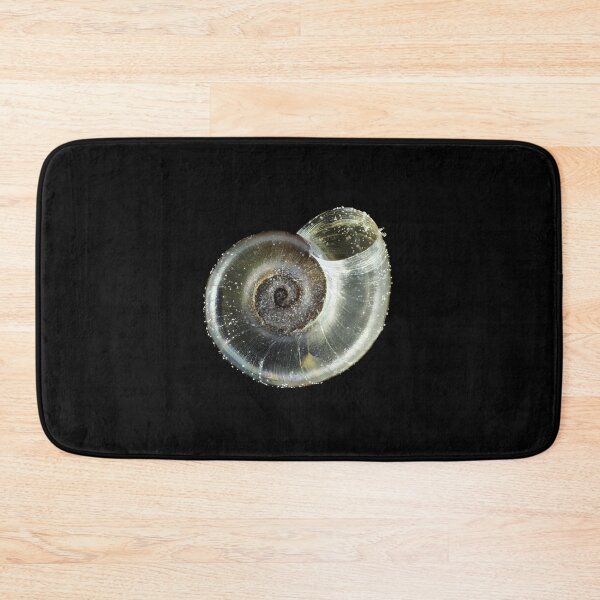 Item preview, Tiny fungivore snail shell under the microscope designed and sold by SDym Photography.