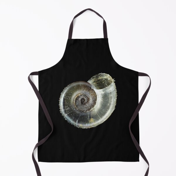 Item preview, Tiny fungivore snail shell under the microscope designed and sold by SDym Photography.