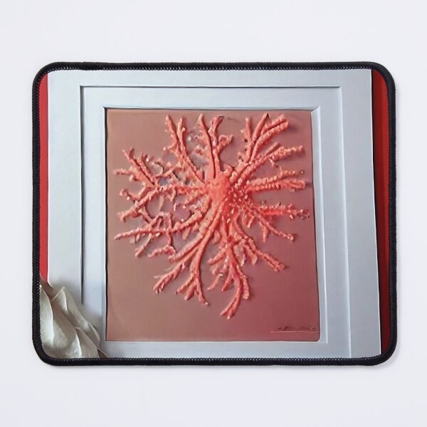 Item preview, Coral August designed and sold by eduk8byfoyles.