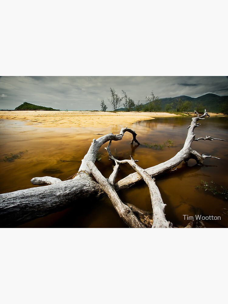 Fallen by wootton60