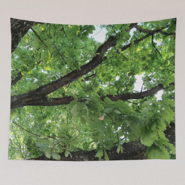 Item preview, Oak tree branches - oaks are always majestic aren't they?  designed and sold by tshuki.