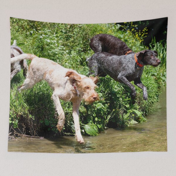 Item preview, River adventure Spinone by heidiannemorris designed and sold by FOLK ART FUSION by heidiannemorris.