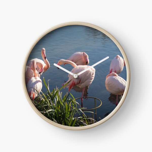 Flamingos 1 Clock