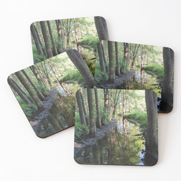 Item preview, Shady forest stream at morning designed and sold by tshuki.