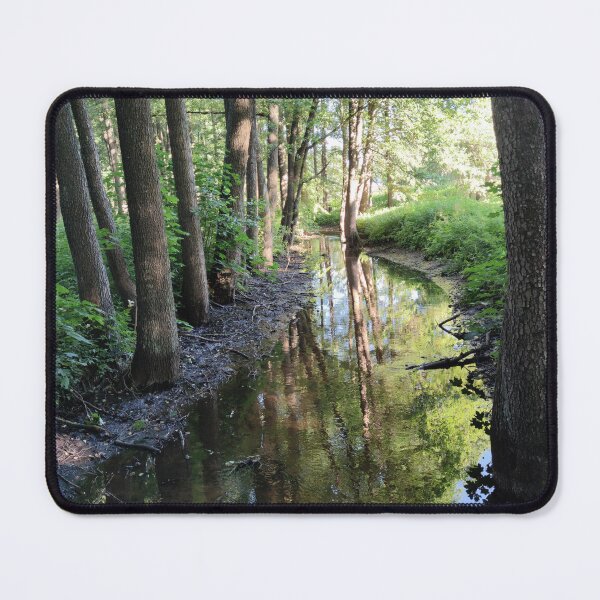 Item preview, Shady forest stream at morning designed and sold by tshuki.