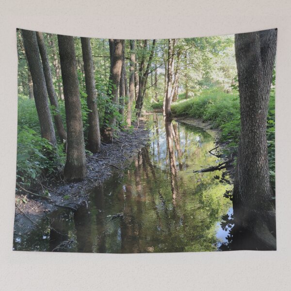 Item preview, Shady forest stream at morning designed and sold by tshuki.