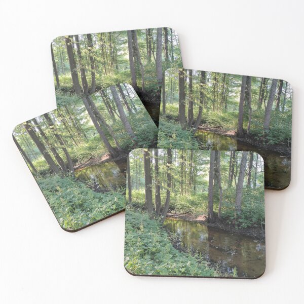 Item preview, Another shot of the brown forest stream during a hike designed and sold by tshuki.