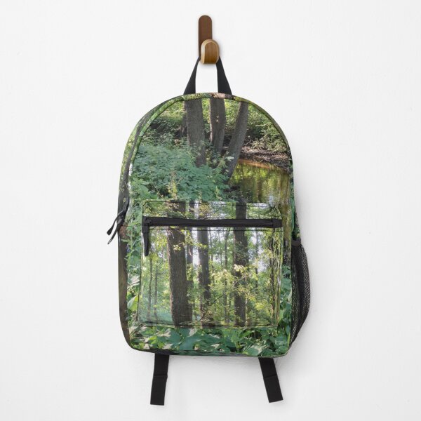Item preview, Another shot of the brown forest stream during a hike designed and sold by tshuki.