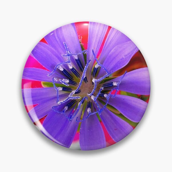 Item preview, Chicory Flower designed and sold by angel1.