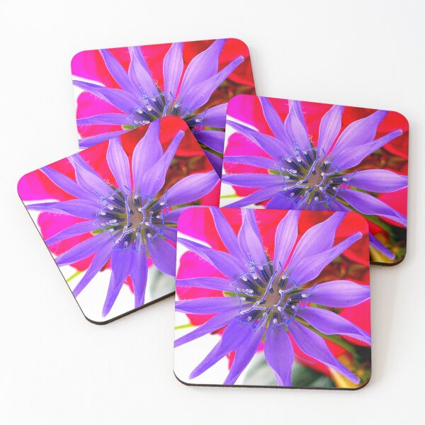 Item preview, Chicory Flower designed and sold by angel1.