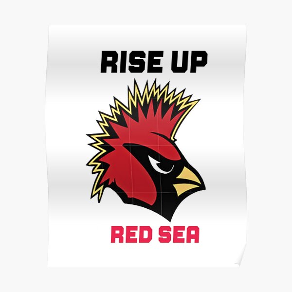 Az nation red sea arizona cardinals all day  Arizona cardinals logo,  Cardinals football, Cardinals nfl