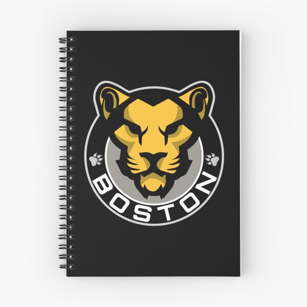 Item preview, Boston Pride   designed and sold by MarkVonRu.