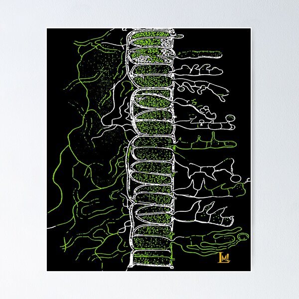 Item preview, Alaire-lm! designed and sold by LM85.