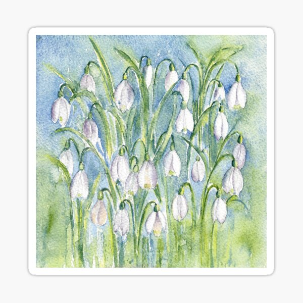 Snowdrops Sticker