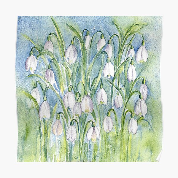 Snowdrops Poster
