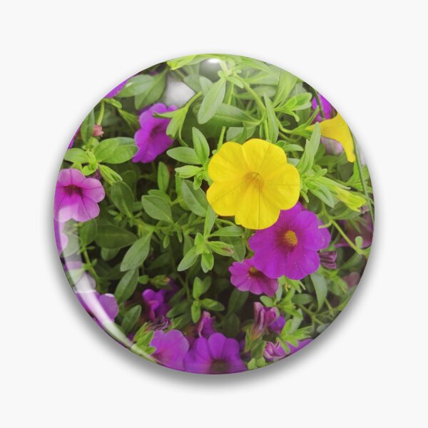 Item preview, Petunia flowers in the garden designed and sold by VeenaNair23.