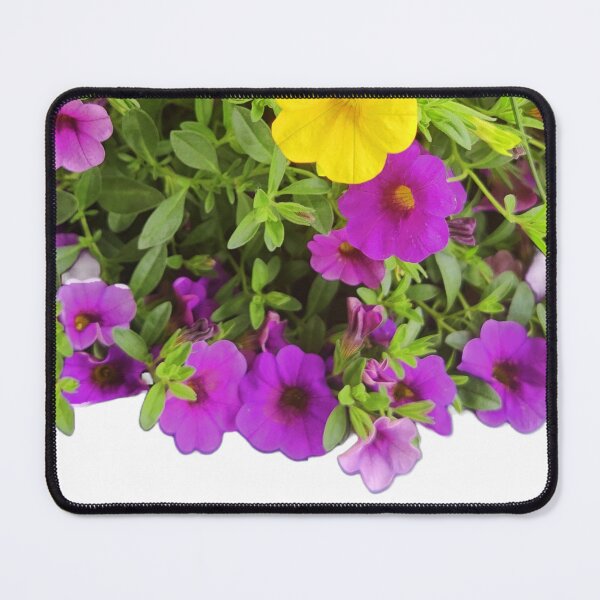 Item preview, Petunia flowers in the garden designed and sold by VeenaNair23.