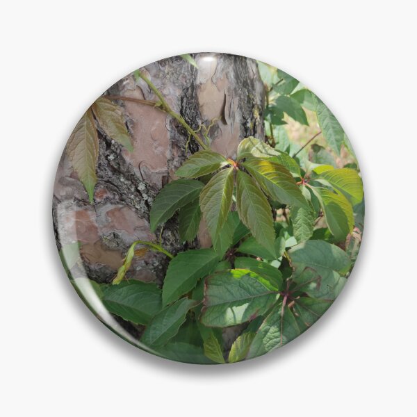 Item preview, You don't need to be a tree to bask your leaves under the sun  designed and sold by tshuki.