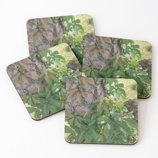 Item preview, You don't need to be a tree to bask your leaves under the sun  designed and sold by tshuki.