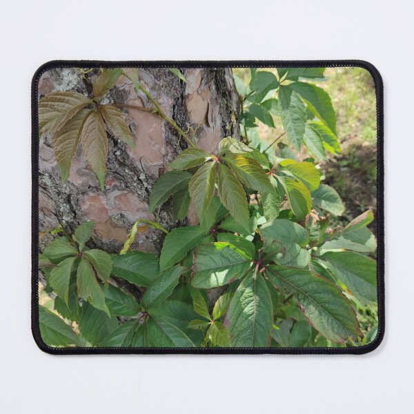 Item preview, You don't need to be a tree to bask your leaves under the sun  designed and sold by tshuki.