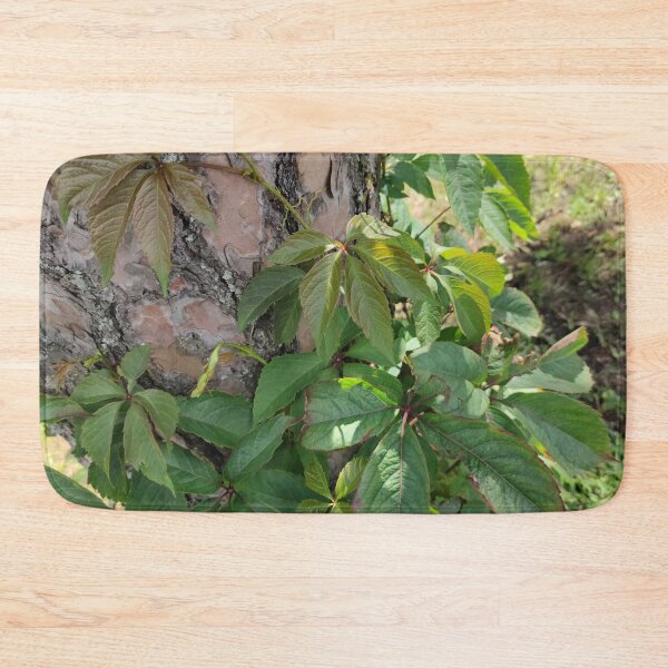 Item preview, You don't need to be a tree to bask your leaves under the sun  designed and sold by tshuki.
