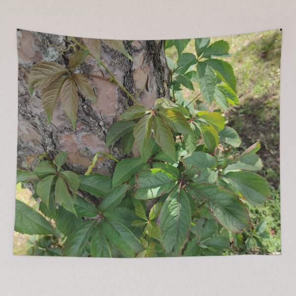 Item preview, You don't need to be a tree to bask your leaves under the sun  designed and sold by tshuki.