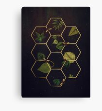 Bees in Space Canvas Print