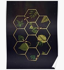 Bienen im Weltraum Poster