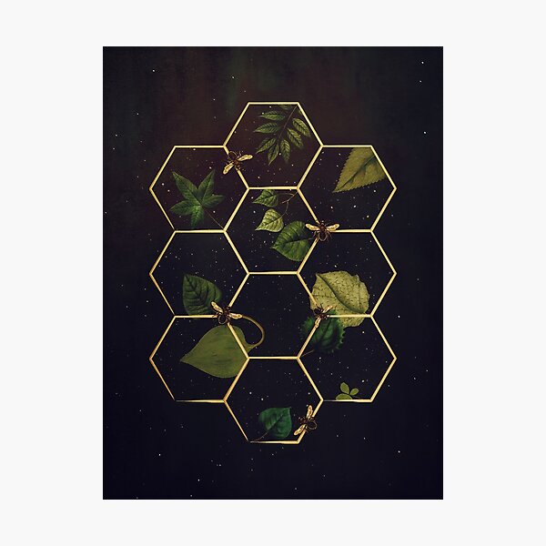 Bees in Space Photographic Print